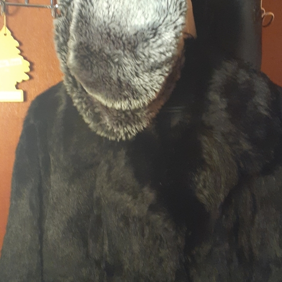 Coat - Picture 4 of 4